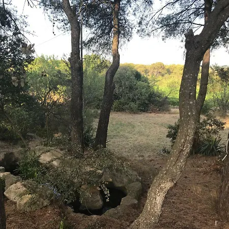 La Pinede